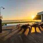 Oak Tree Ocean View
