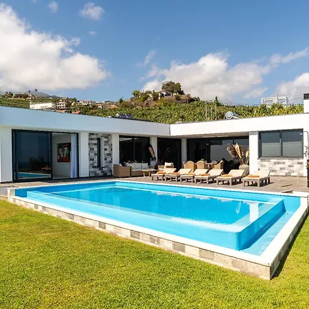 Oak Tree Ocean View *