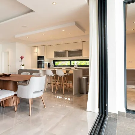 Oak Tree Ocean View *