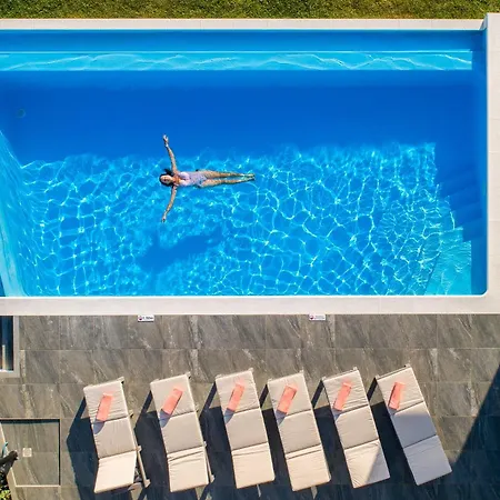 Oak Tree Ocean View *