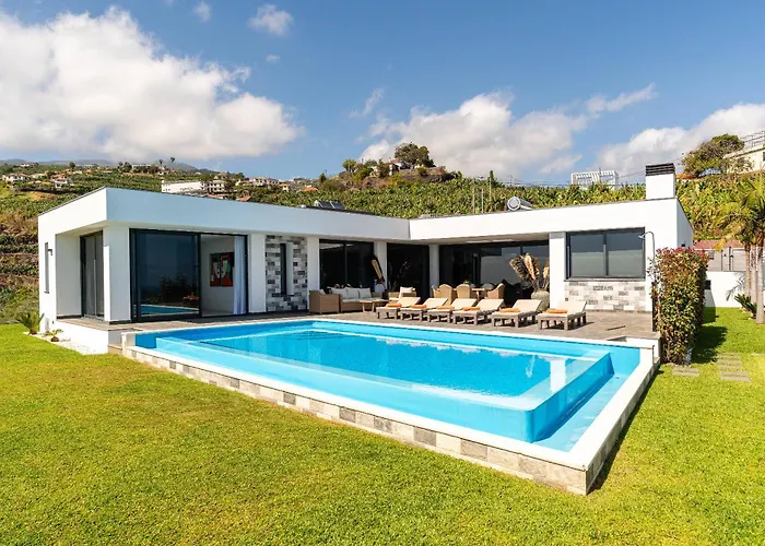 Oak Tree Ocean View *